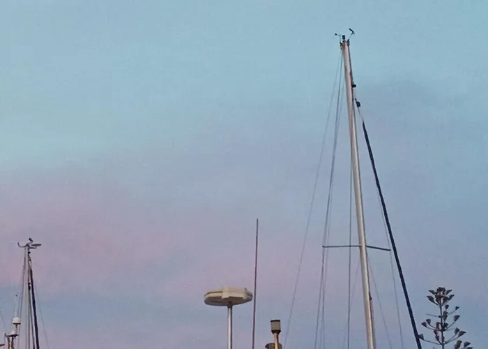 Botel Conch